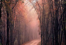 施特克主场狂胜，一鼓作气冲向前列