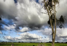 广东队力克福建，将领先优势稳固至季后赛