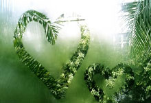 广东队力克福建，将领先优势稳固至季后赛